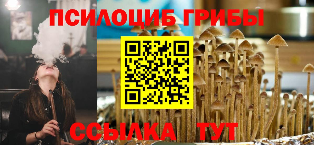 Псилоцибиновые грибы прущие грибы  Вход с VPN  Псилоцибиновые грибы MAGIC MUSHROOMS  Черняховск 